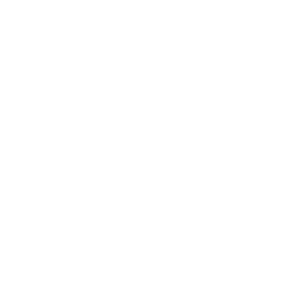 Logo metricool
